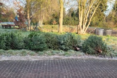 image15