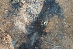 IMG-20180917-WA0000