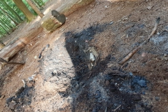 IMG-20180917-WA0001