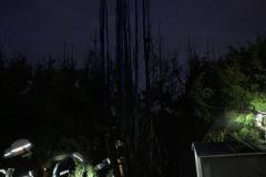 IMG-20191231-WA0018