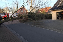IMG-20190315-WA0011