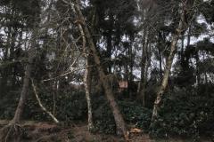 IMG-20200209-WA0005