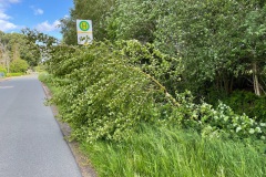image0-79