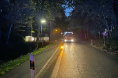 image1-69