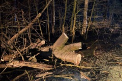 image3-19